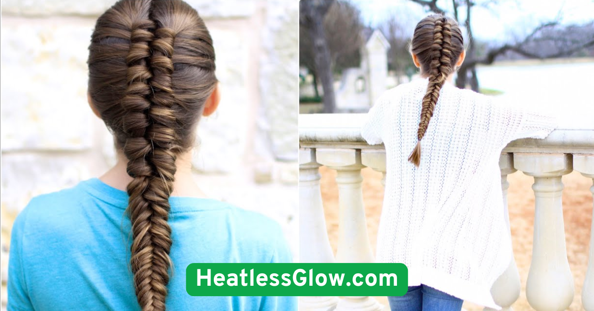 Braided Ponytail Combo